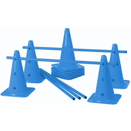 Lot de 5 mini-haies Cônes 40 cm coloris bleu