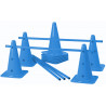 Lot de 5 mini-haies Cônes 40 cm coloris bleu