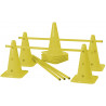 Lot de 5 mini-haies Cônes 40 cm coloris jaune