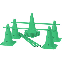 Lot de 5 mini-haies Cônes 40 cm coloris vert