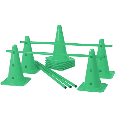 Lot de 5 mini-haies Cônes 40 cm coloris vert