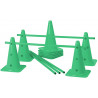 Lot de 5 mini-haies Cônes 40 cm coloris vert
