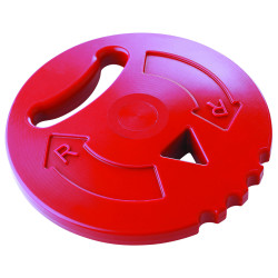 Disque d'initiation 400 g