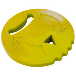 Disque d'initiation 400 g 2