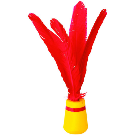 Indiaka