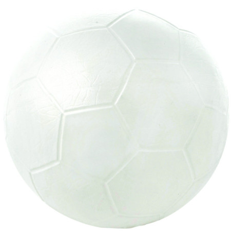 Ballon multi-activités