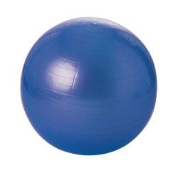 Balle gymnique 55 cm