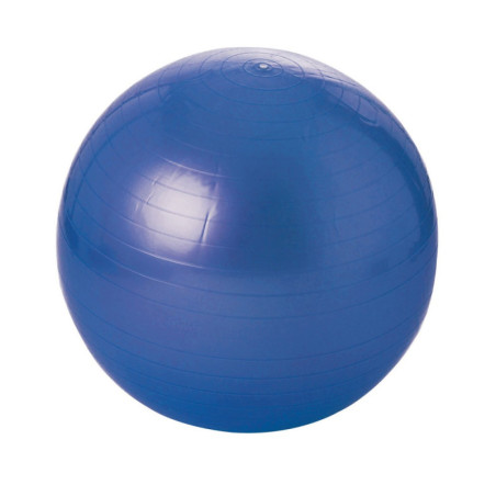 Balle gymnique 55 cm