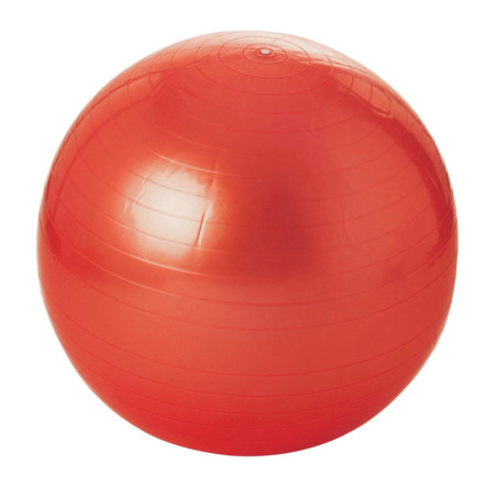 Balle gymnique 65 cm