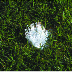 25 implants de traçage de terrain + 1 enfonçoir 2