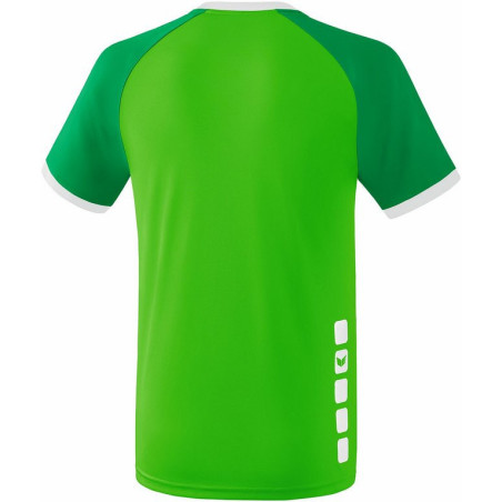 Maillot ERIMA Zenari 3.0, couleur vert, émeraude et blanc, de dos