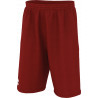 Short de basket ERREA Dallas 3.0 bordeaux