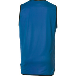 Chasuble de rugby réversible Force XV coloris bleu/vert 2