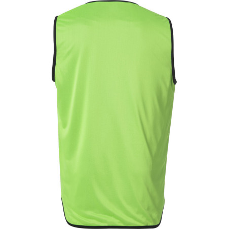Chasuble de rugby réversible Force XV coloris vert/bleu vue de dos