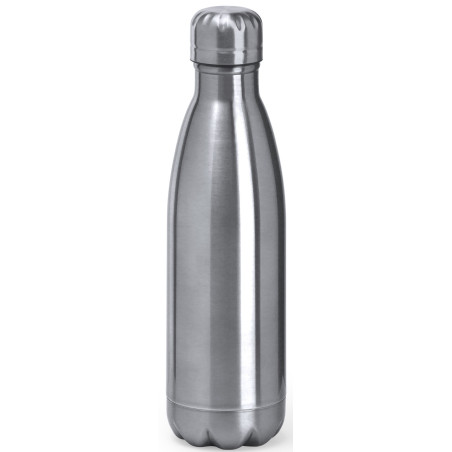 Bouteille Alpina grise