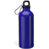Bouteille Baobab bleue