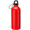 Bouteille Baobab rouge