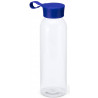 Gourde transparente Aloe bleue