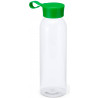 Gourde transparente Aloe verte