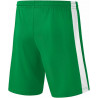 Short Erima Retro Star vert dos