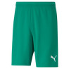 Short PUMA Team Rise vert