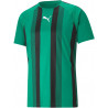 Maillot PUMA Team Liga Striped vert noir face