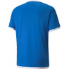 Maillot PUMA Team Liga bleu roi dos