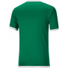 Maillot PUMA Team Liga vert dos