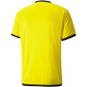 Maillot PUMA Team Liga jaune dos