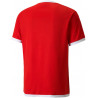 Maillot PUMA Team Liga rouge dos