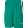 Short PUMA Team Liga vert