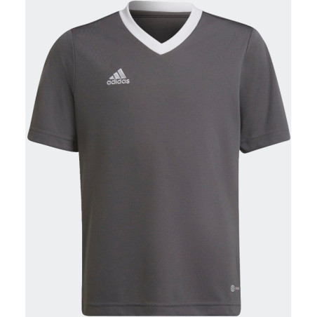 Maillot de Football ADIDAS Entrada 22 gris
