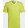 Maillot de Football ADIDAS Entrada 22 vert clair