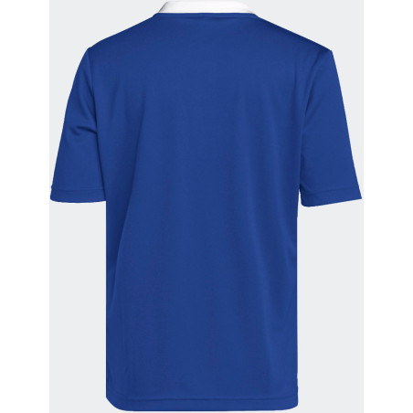 Maillot de Football ADIDAS Entrada 22 bleu roi dos