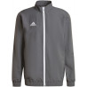 Veste de présentation ADIDAS Entrada 22 gris