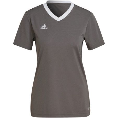 Maillot de Football Femme ADIDAS Entrada 22 gris