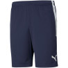 Short loisir Puma Team Liga marine