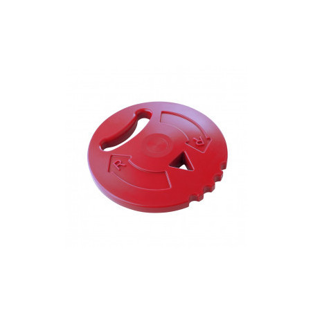 Disque initiation 400gr