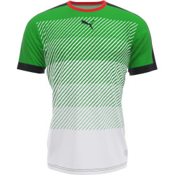 Maillot de football sublimé Puma My Liga Shirt col rond