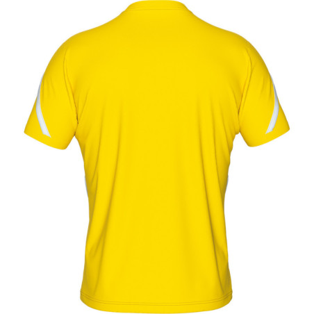 Maillot ERREA Curtis JAUNE/BLEU/BLANC DOS