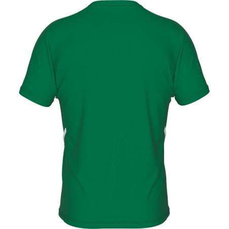 Maillot ERREA Marvin VERT DOS