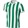 Maillot ERREA Strip VERT/BLANC