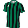 Maillot ERREA Strip NOIR/VERT