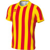 Maillot ERREA Strip ROUGE/JAUNE