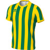 Maillot ERREA Strip VERT/JAUNE