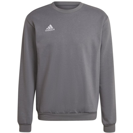 Sweat ADIDAS ENTRADA 22 GRIS