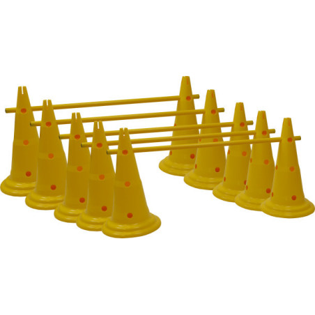 Kit Multisauts 50cm par 5