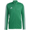 Veste d'entraînement ADIDAS Tiro 23 League VERT