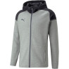 Veste à capuche Puma Team Cup 2023 gris face