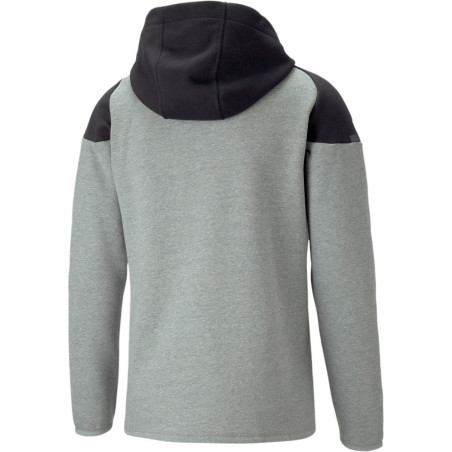 Veste à capuche Puma Team Cup 2023 gris dos
